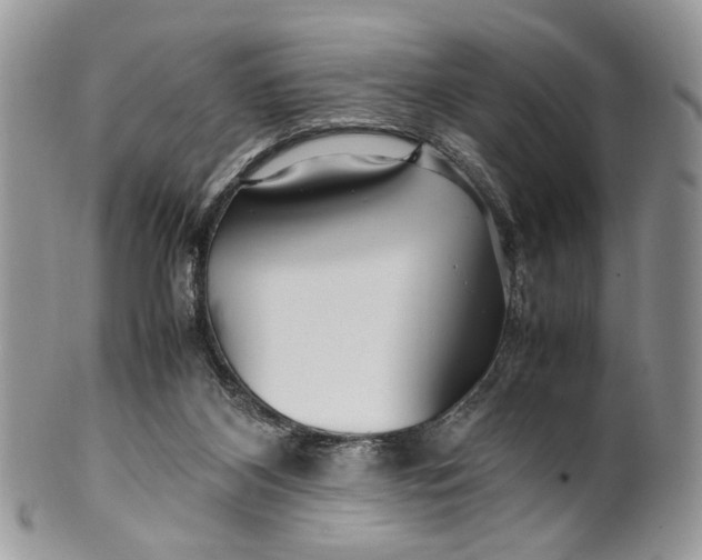 X0000099510116200806051156