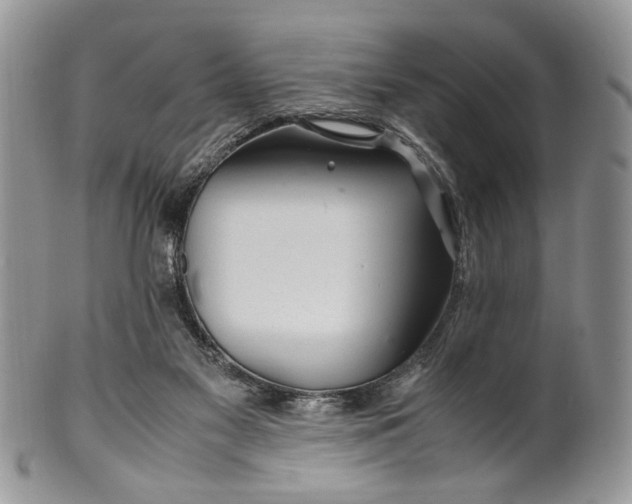 X0000099510117200806051156