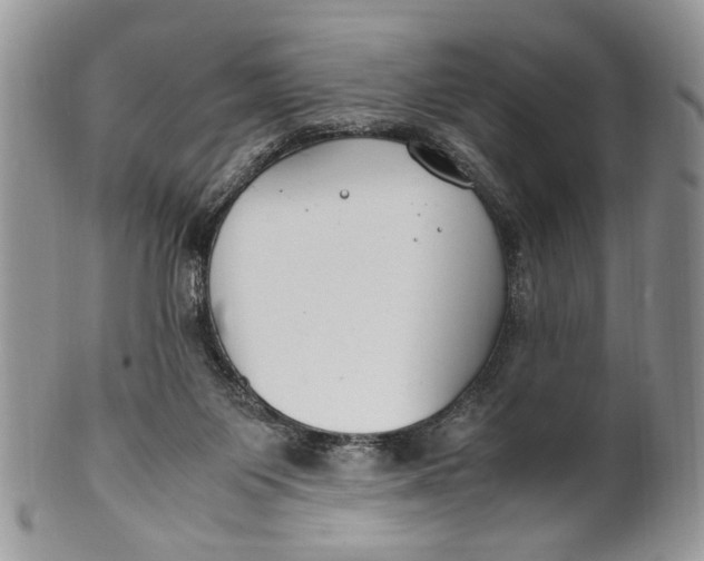 X0000099510119200806051156