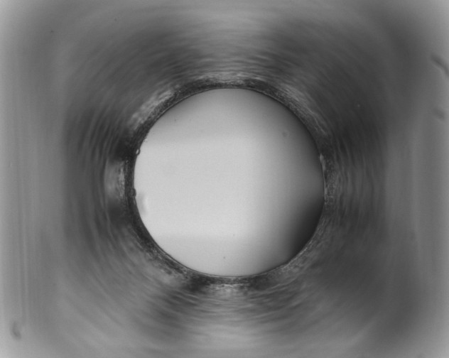 X0000099510120200806051156