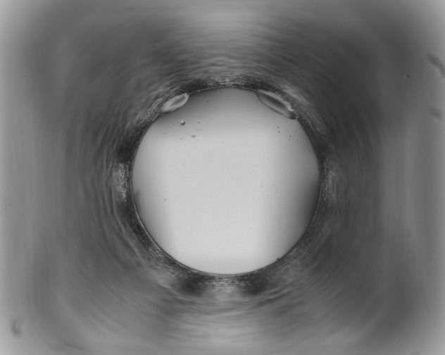 X0000099510121200806051156