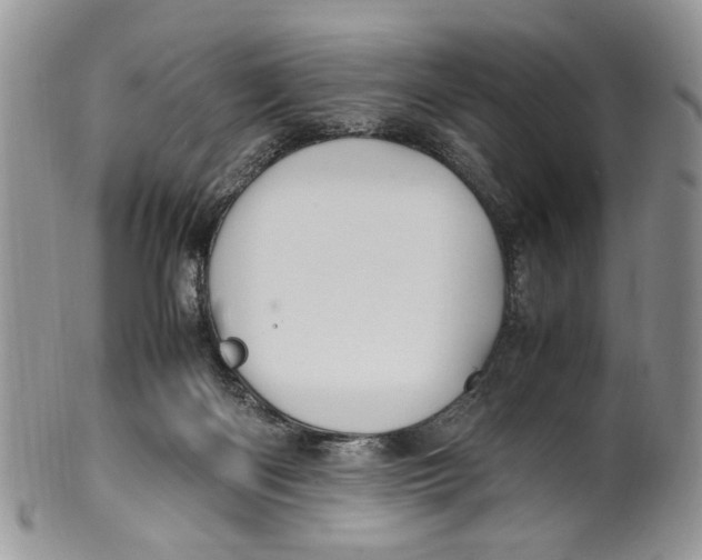 X0000099510122200806051156