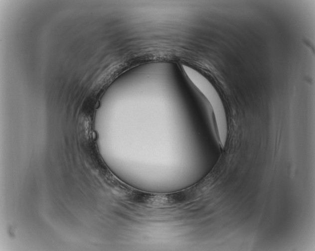 X0000099510123200806051156