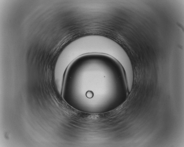 X0000099510124200806051156