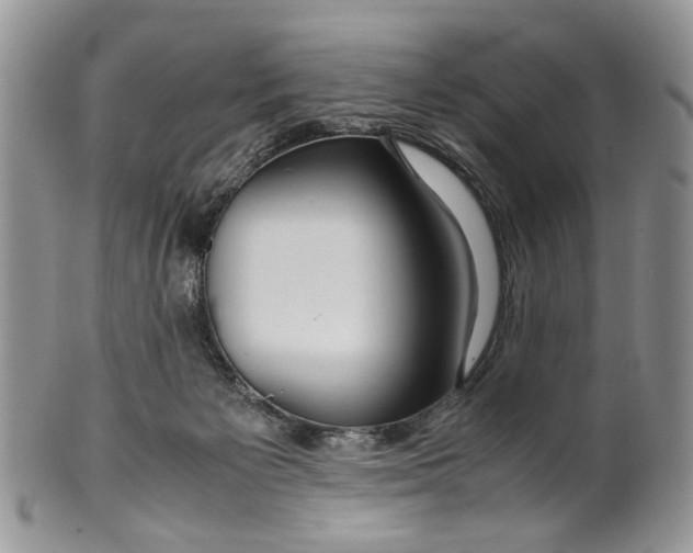 X0000099510125200806051156