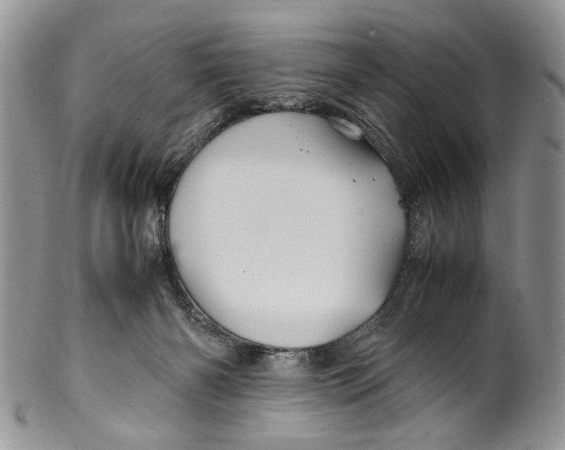 X0000099510126200806051156