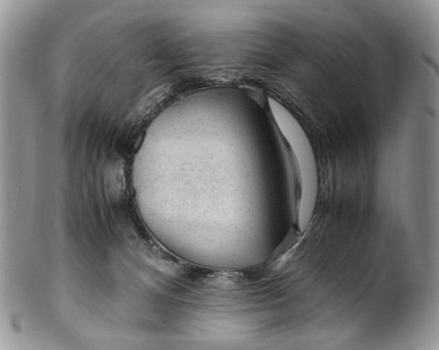 X0000099510128200806051156