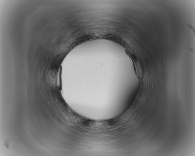 X0000099510129200806051156