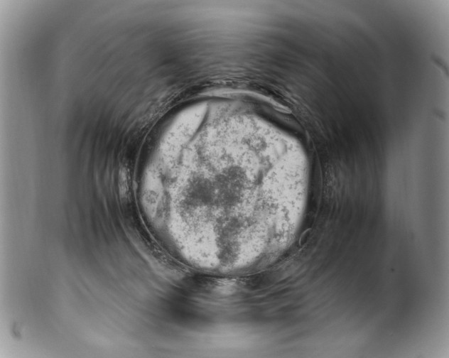 X0000099510130200806051156