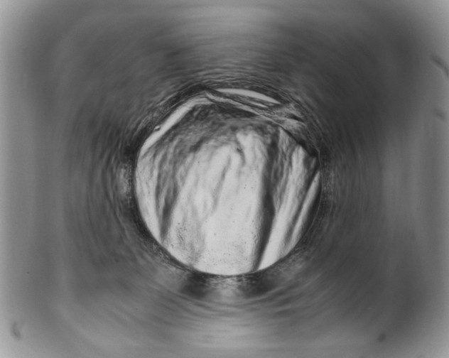 X0000099510131200806051156