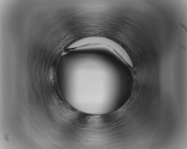 X0000099510132200806051156