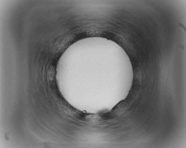 X0000099510133200806051156