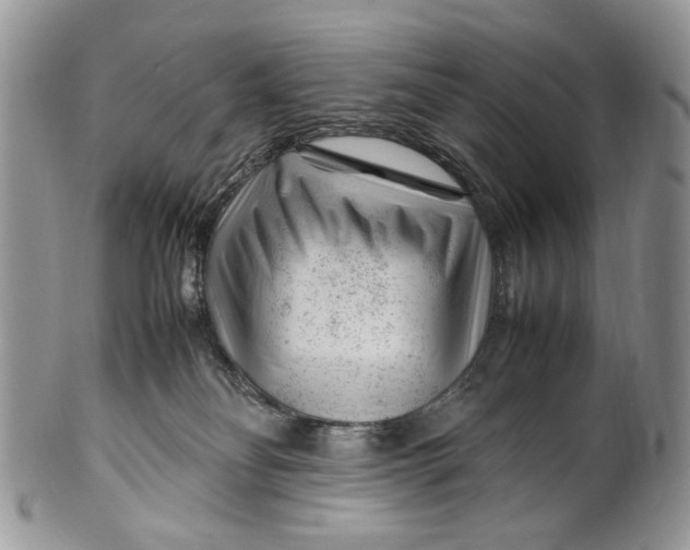 X0000099510134200806051156