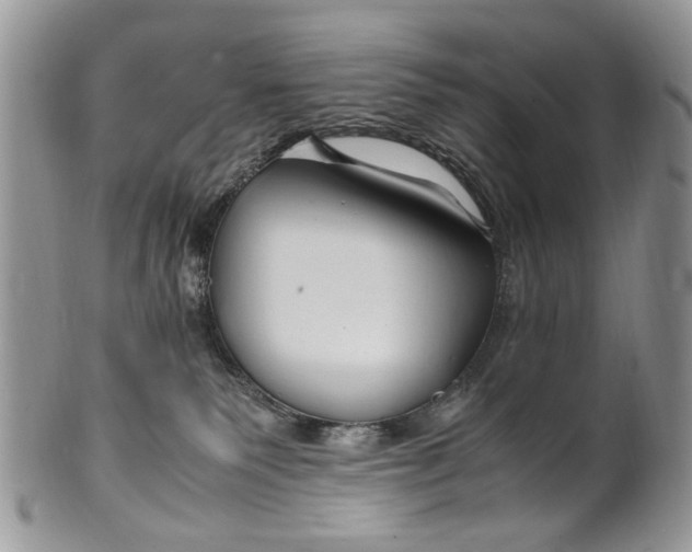 X0000099510135200806051156