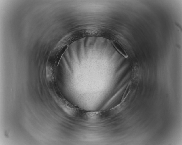 X0000099510136200806051156