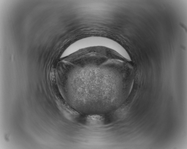 X0000099510137200806051156