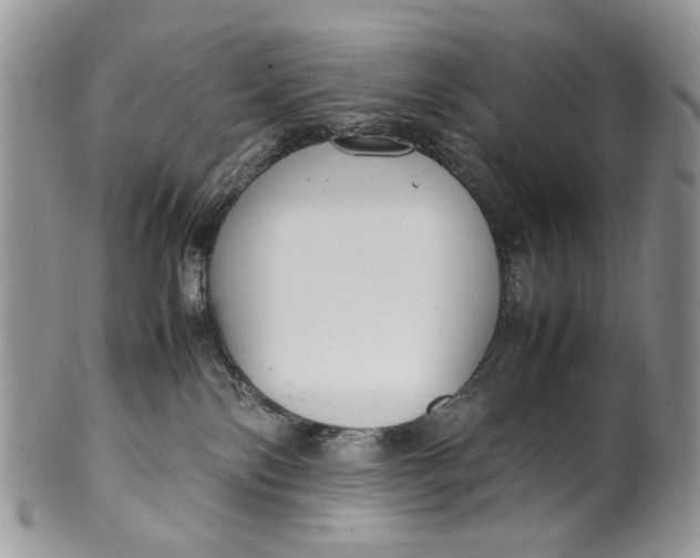 X0000099510138200806051156