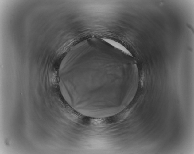 X0000099510139200806051156