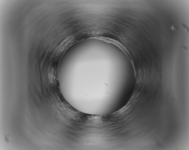 X0000099510140200806051156