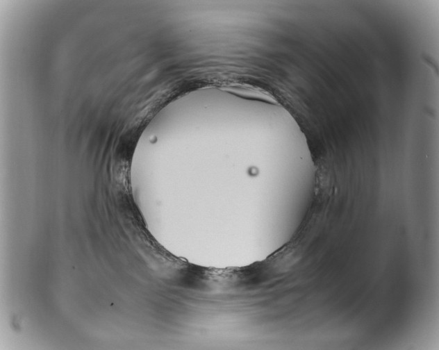 X0000099510141200806051156