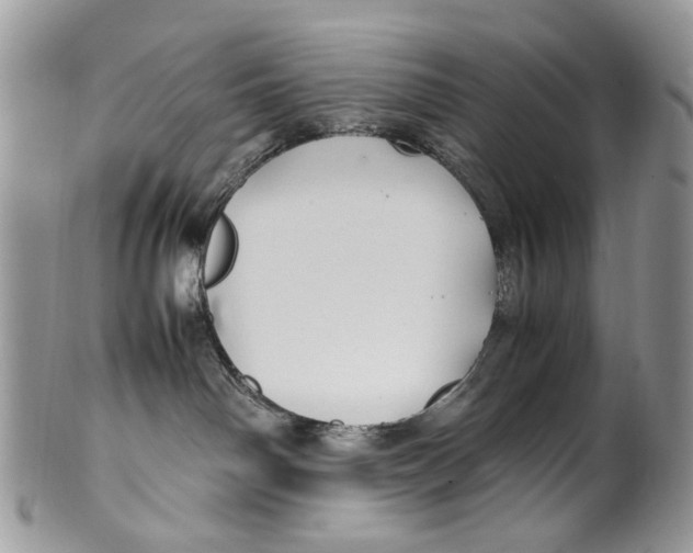 X0000099510142200806051156