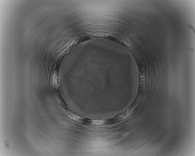 X0000099510143200806051156