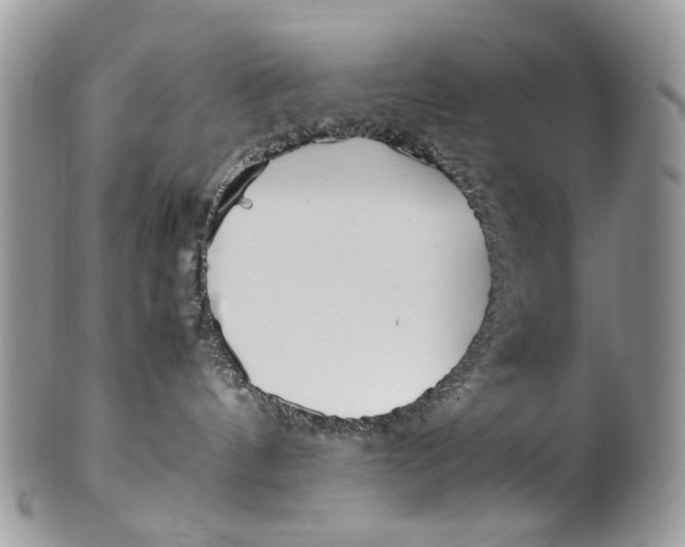 X0000099510144200806051156