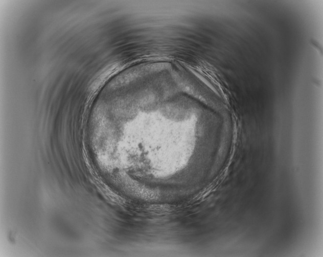 X0000099510145200806051155