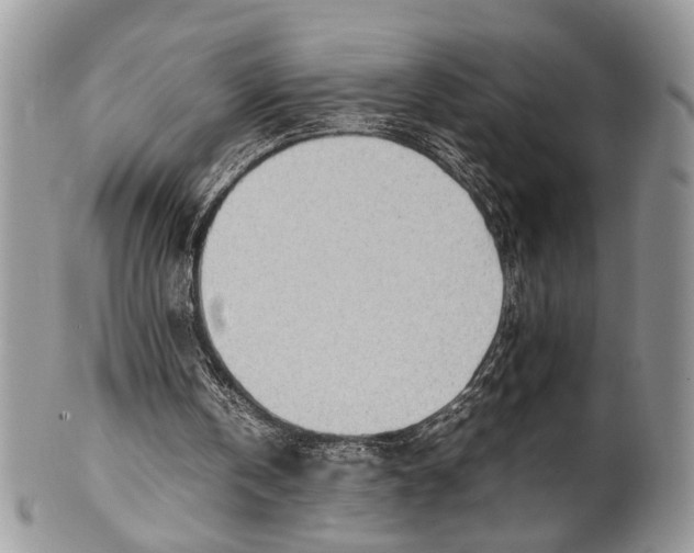 X0000099510146200806051155