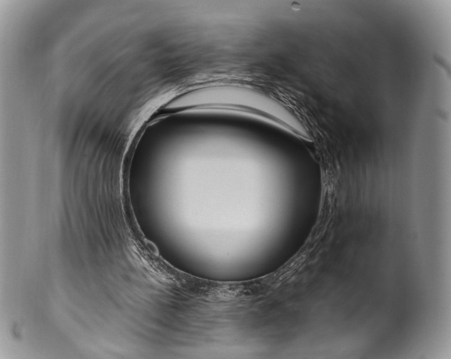 X0000099510148200806051155