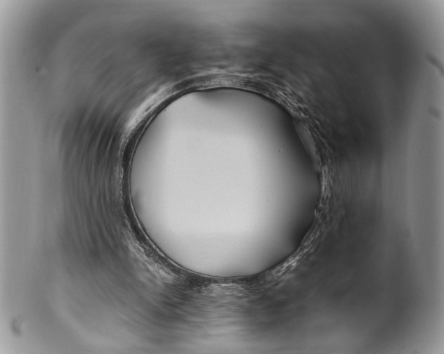 X0000099510150200806051155