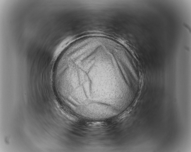 X0000099510151200806051155