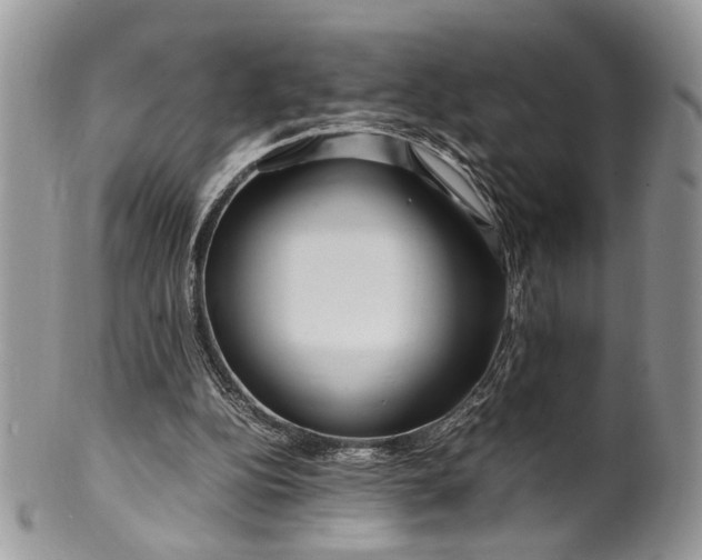 X0000099510152200806051155