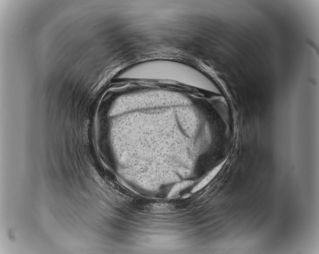 X0000099510154200806051155