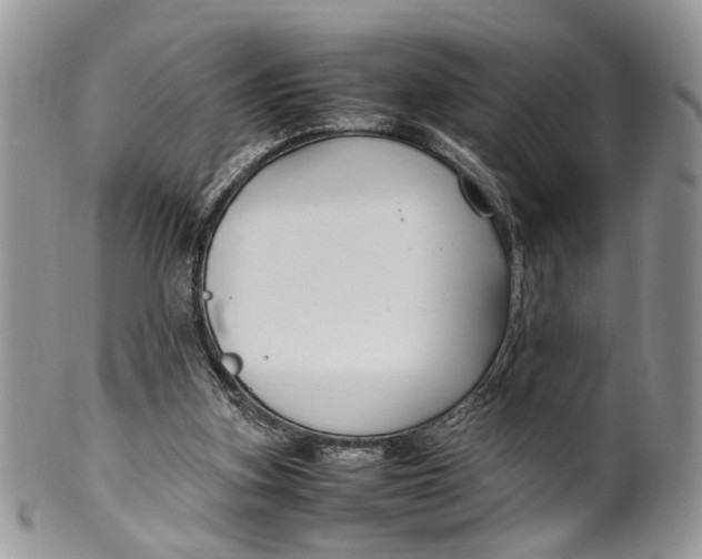 X0000099510155200806051155