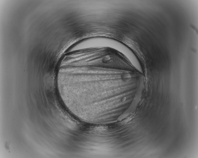 X0000099510156200806051155