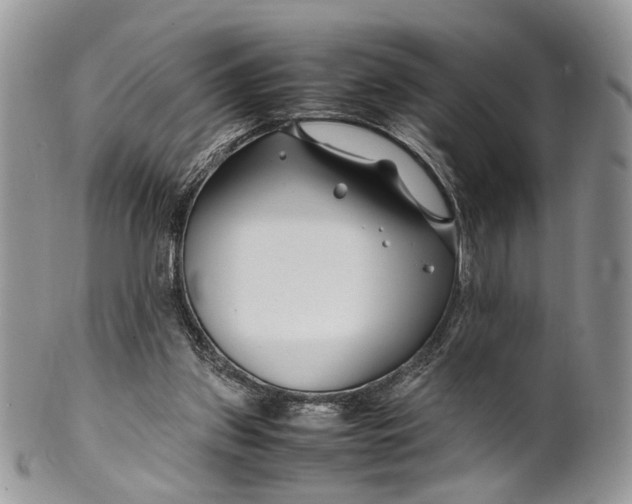 X0000099510157200806051155