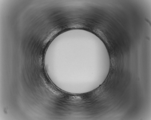 X0000099510159200806051155