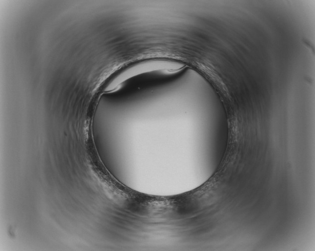 X0000099510160200806051155