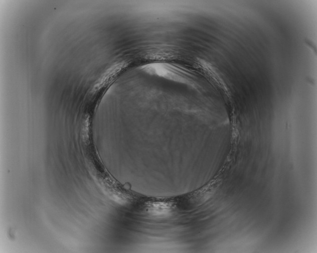 X0000099510163200806051155