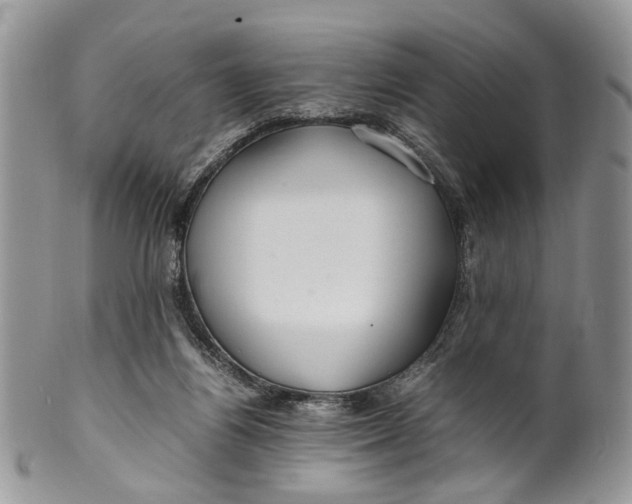 X0000099510164200806051155