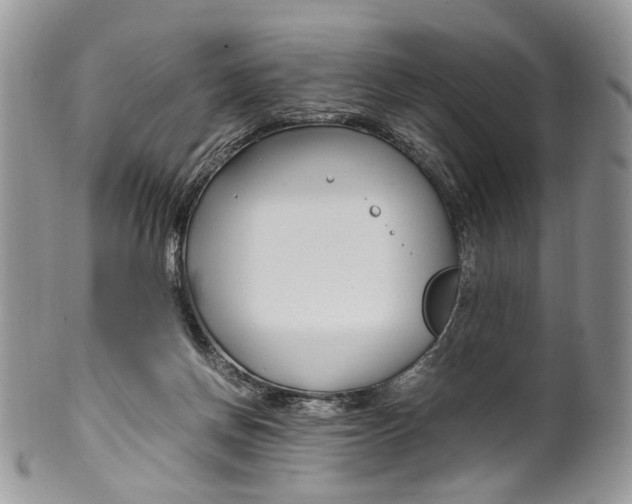 X0000099510166200806051155