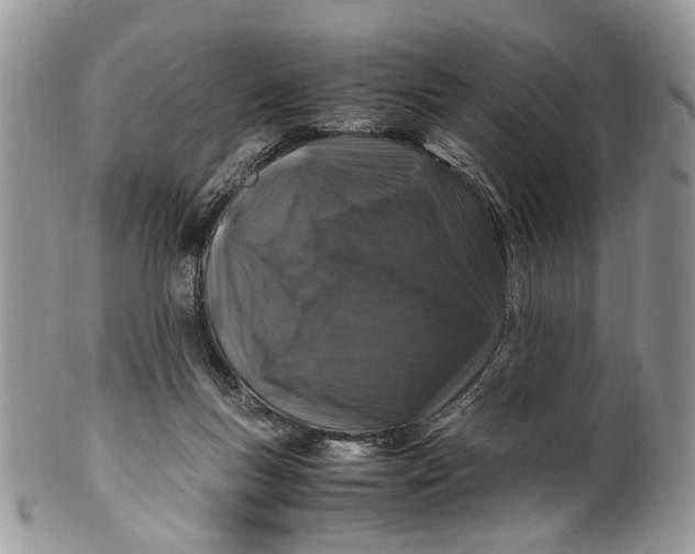 X0000099510167200806051155