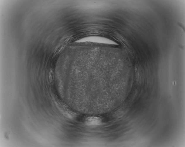 X0000099510169200806051155