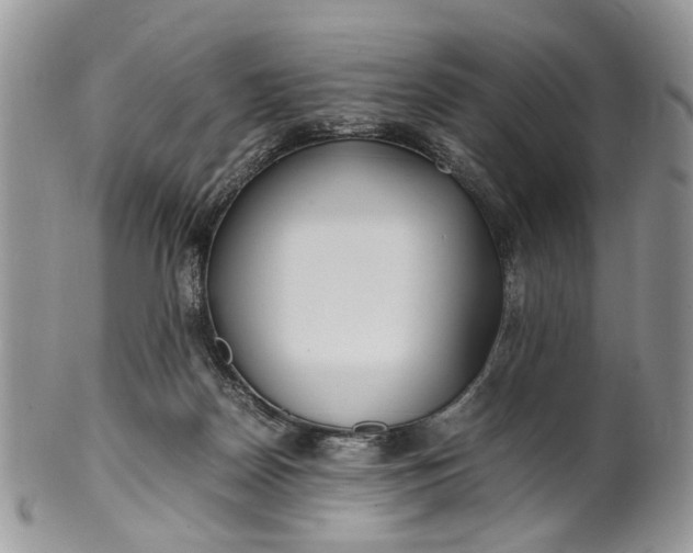 X0000099510170200806051156