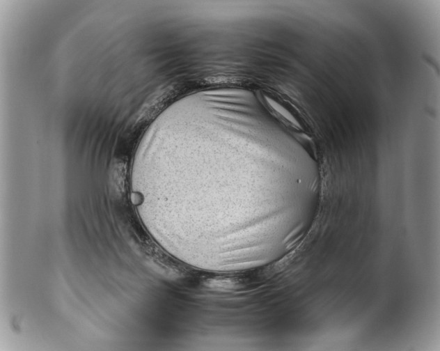 X0000099510171200806051156