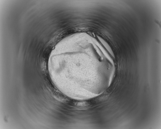 X0000099510173200806051156