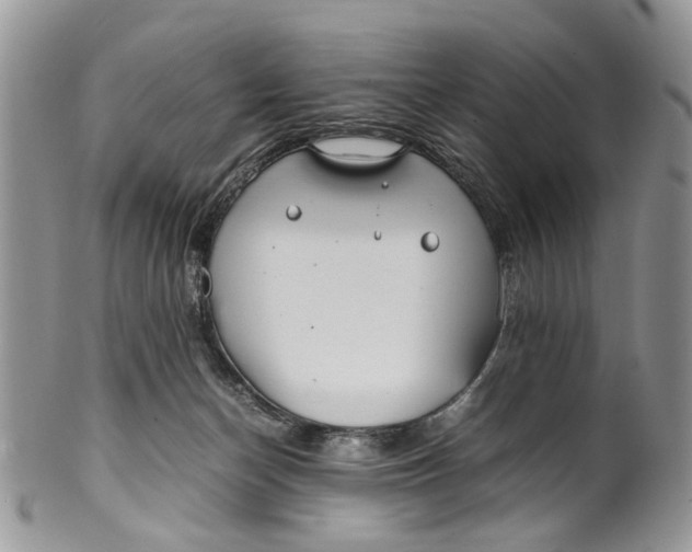 X0000099510174200806051156