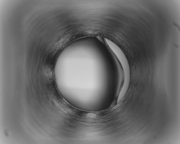 X0000099510176200806051156