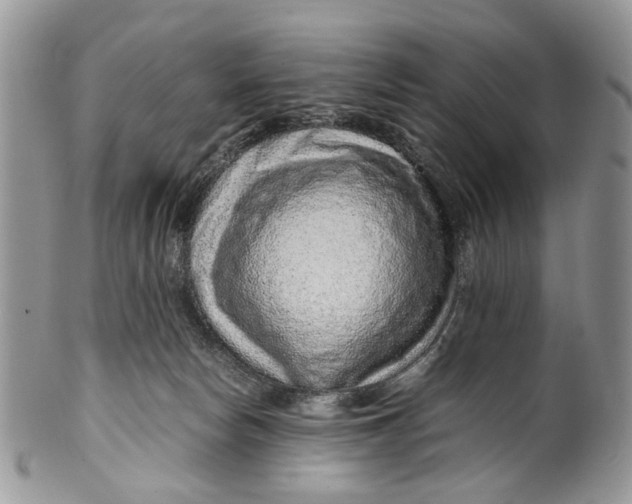 X0000099510178200806051156